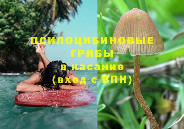 прущие крисы Балабаново
