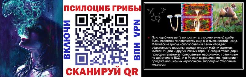Галлюциногенные грибы Cubensis купить наркотик Краснотурьинск